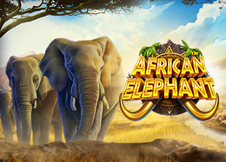 RTP African Elephant